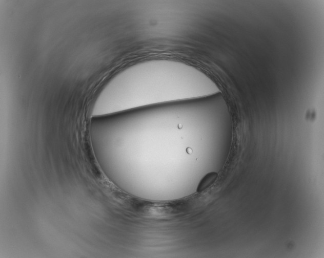 X0000112780372200908201420