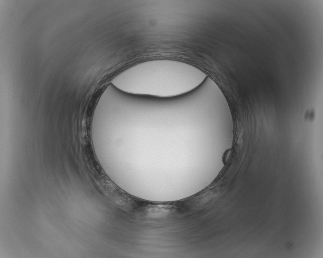 X0000112780378200908201420