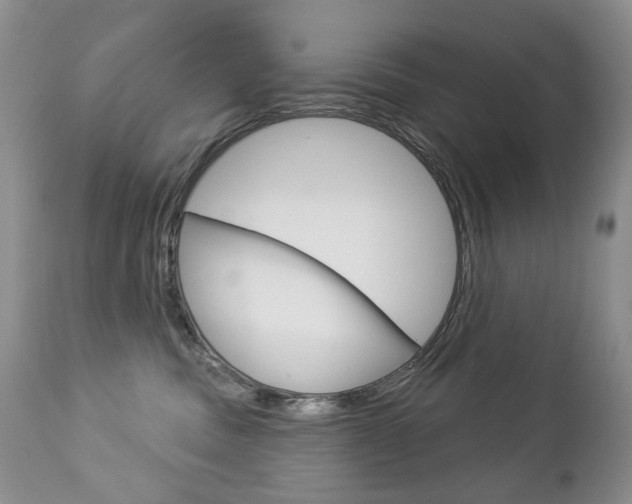 X0000112780379200908201420