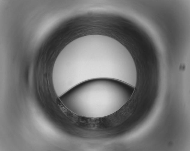 X0000112780382200908201420