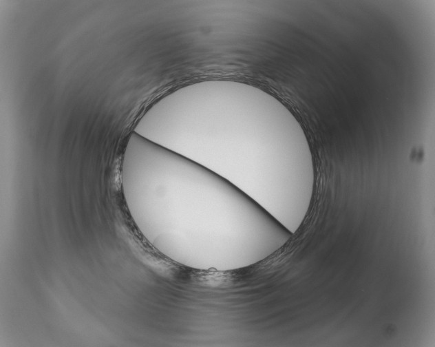 X0000112780383200908201420