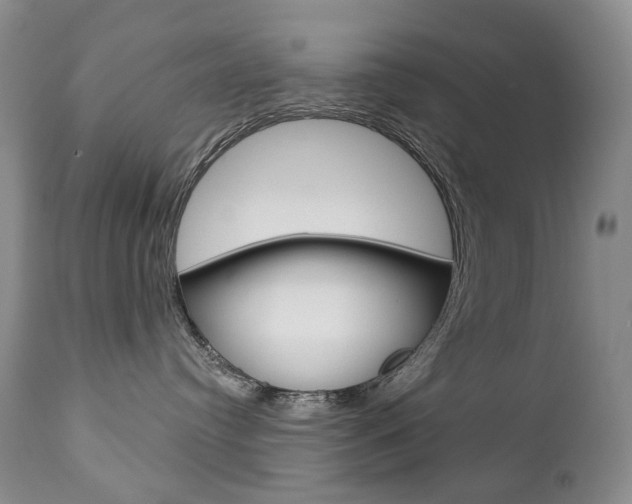 X0000112780384200908201420
