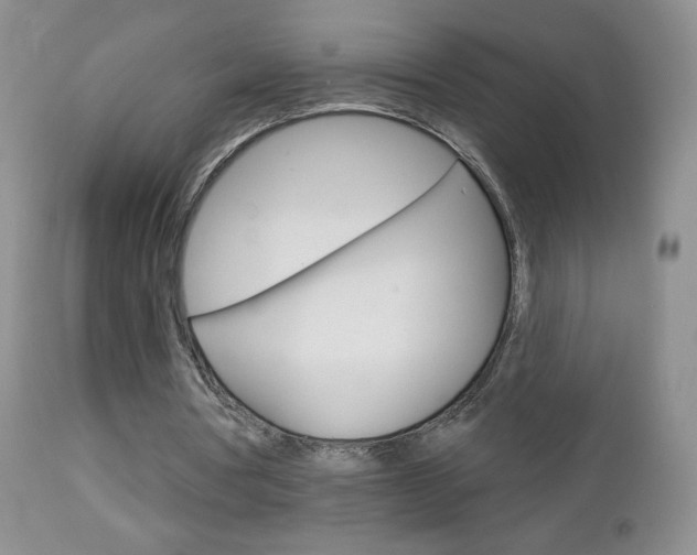 X0000112780386200908201419