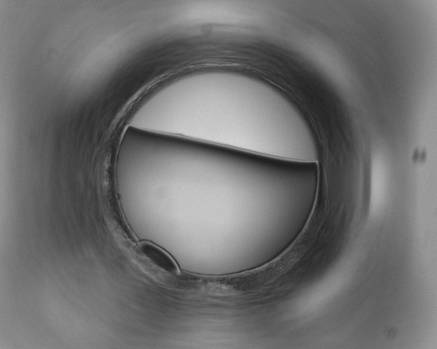 X0000112780387200908201419