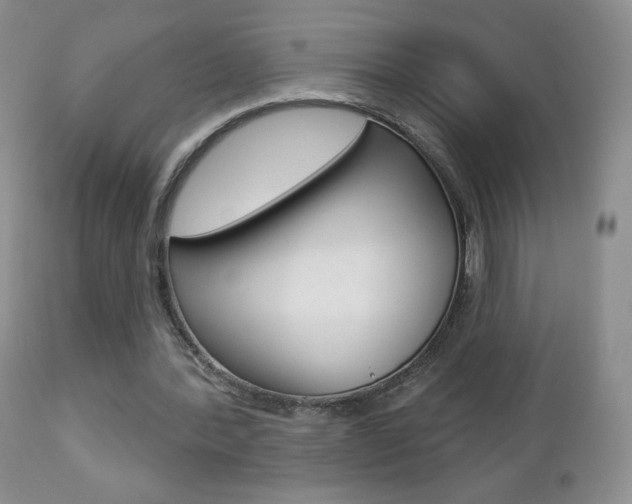X0000112780388200908201419