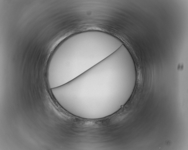 X0000112780390200908201419