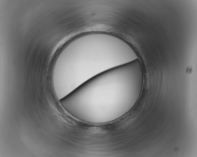 X0000112780392200908201419