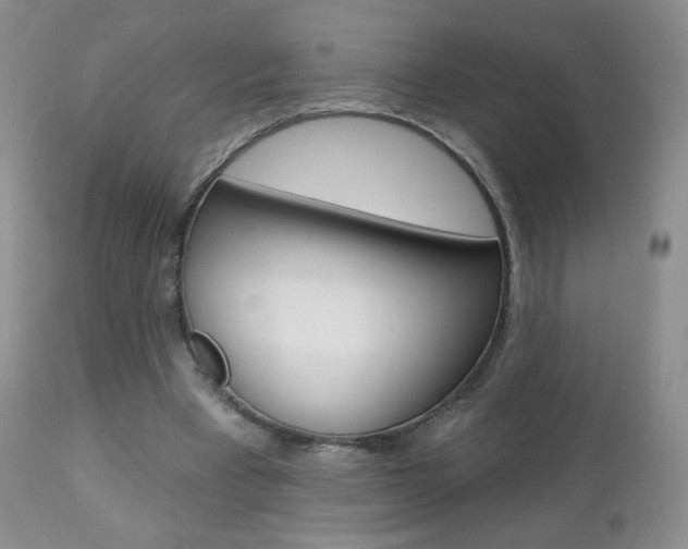 X0000112780393200908201419