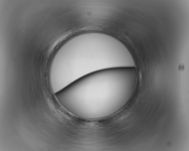 X0000112780396200908201419