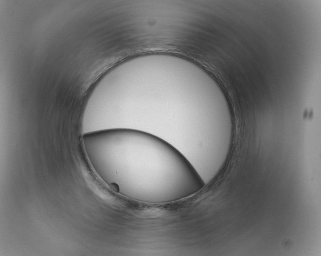 X0000112780397200908201419