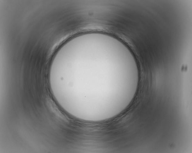 X0000112780399200908201419