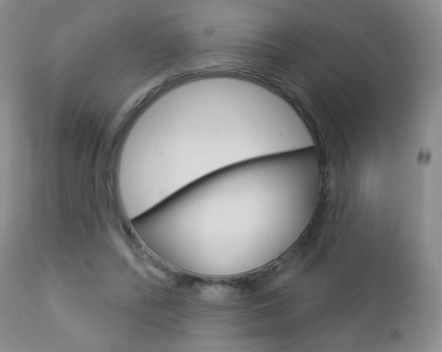 X0000112780400200908201419