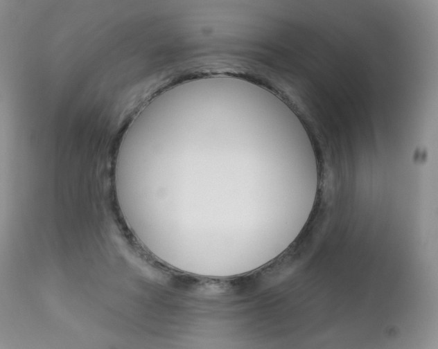 X0000112780402200908201419