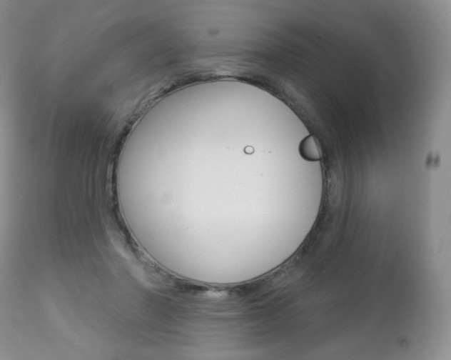 X0000112780406200908201419