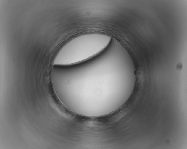 X0000112780408200908201419