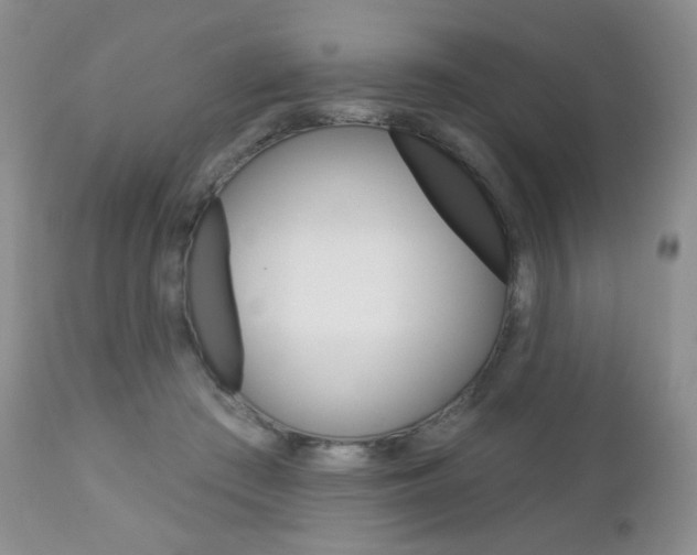 X0000112780409200908201419