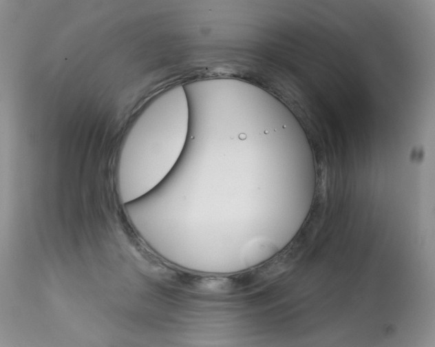 X0000112780410200908201419