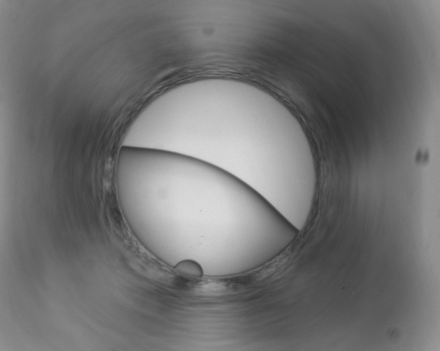 X0000112780413200908201419
