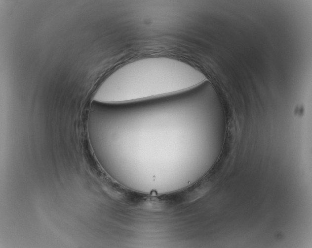 X0000112780416200908201419