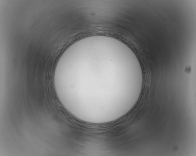 X0000112780417200908201419