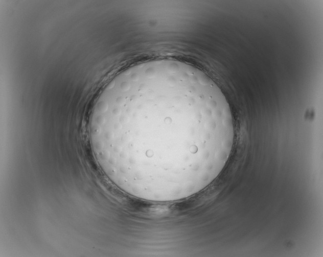 X0000112780418200908201419