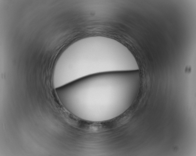 X0000112780420200908201419