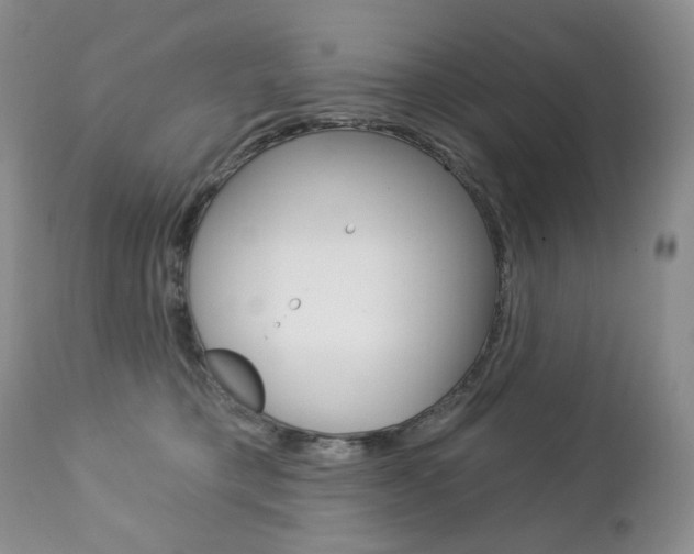 X0000112780421200908201419