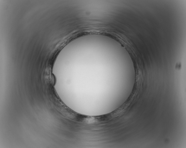 X0000112780425200908201418