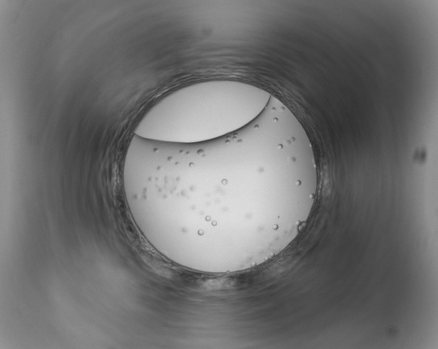 X0000112780426200908201418