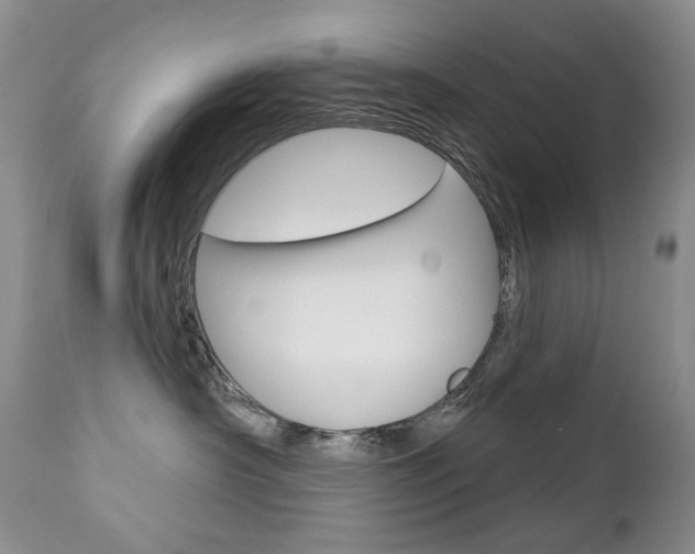 X0000112780430200908201418