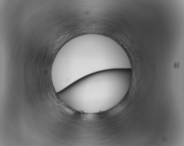 X0000112780432200908201418