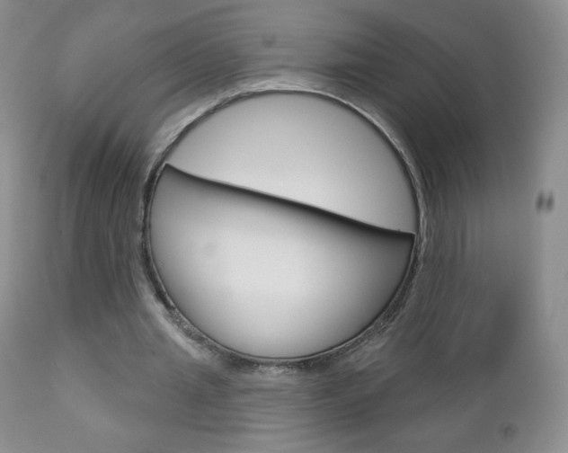 X0000112780437200908201417