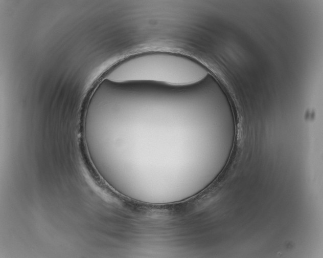 X0000112780438200908201417