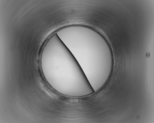 X0000112780439200908201417