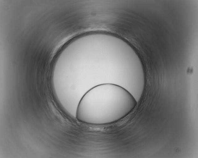 X0000112780440200908201417