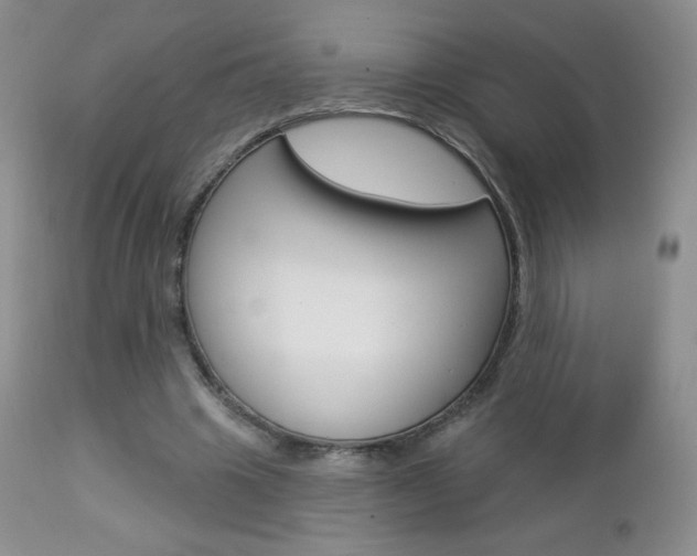 X0000112780441200908201417