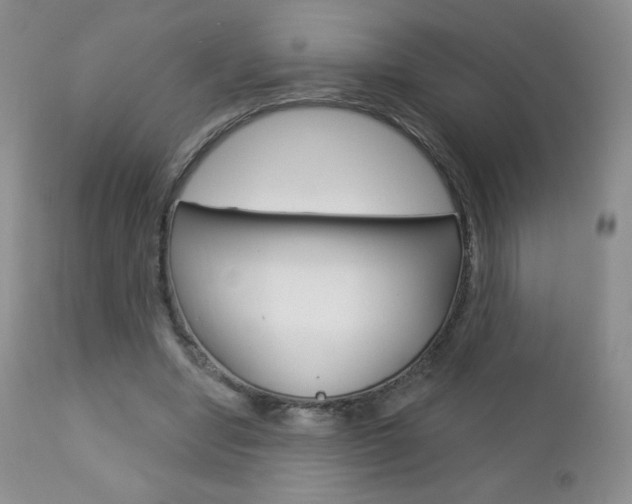 X0000112780442200908201417