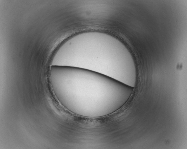 X0000112780443200908201418