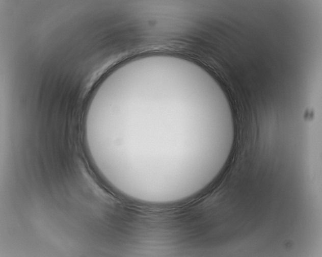 X0000112780444200908201418