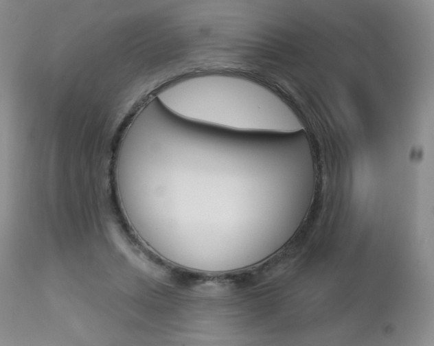 X0000112780447200908201418