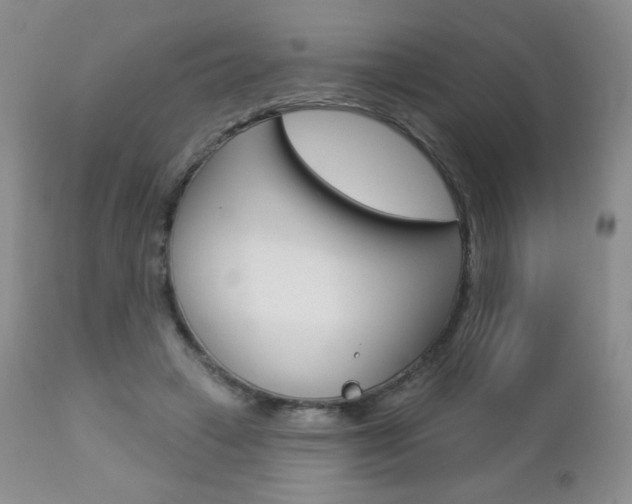 X0000112780449200908201418