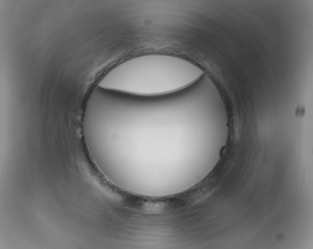 X0000112780450200908201418