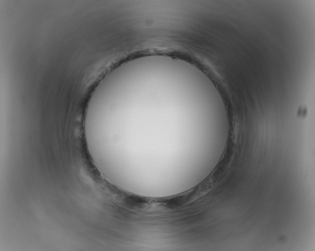 X0000112780451200908201418