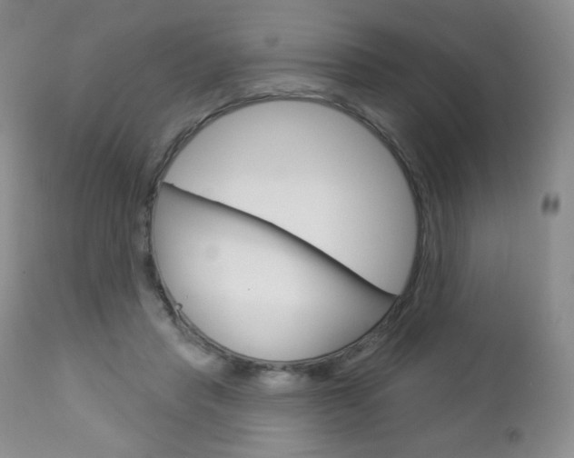 X0000112780453200908201418