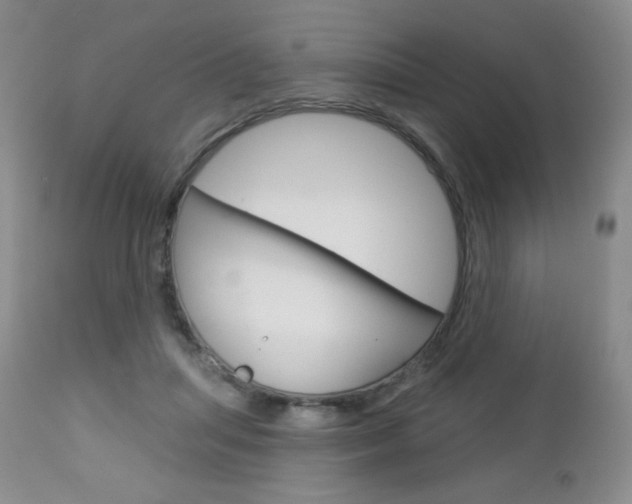 X0000112780455200908201418