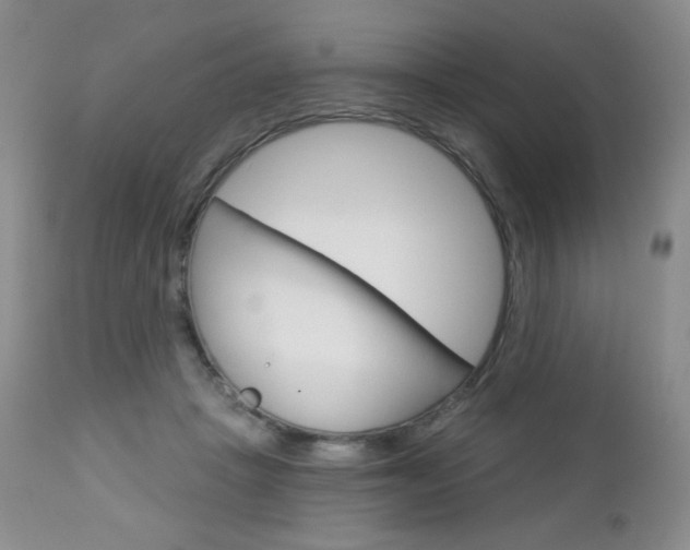 X0000112780457200908201418