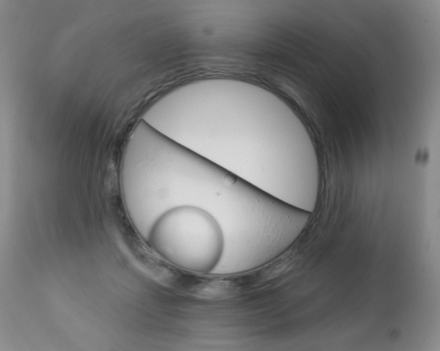 X0000112780459200908201418