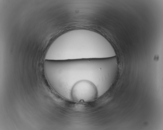 X0000112780462200908201418