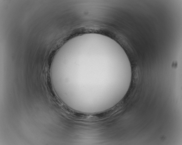 X0000112780463200908201418