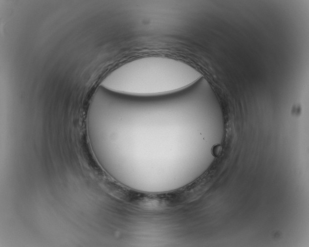 X0000112780464200908201418
